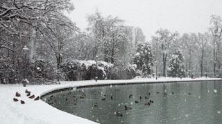 Озеро в парке Дукале в снегу, редкое явление, Парма, Италия